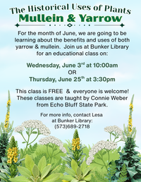 Historical Uses of Plants Class series at Bunker Library: Yarrow & Mullein