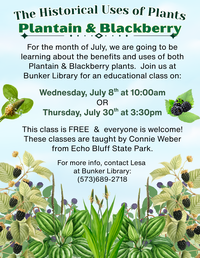 Historical Uses of Plants Program at Bunker Library: Plantain & Blackberry