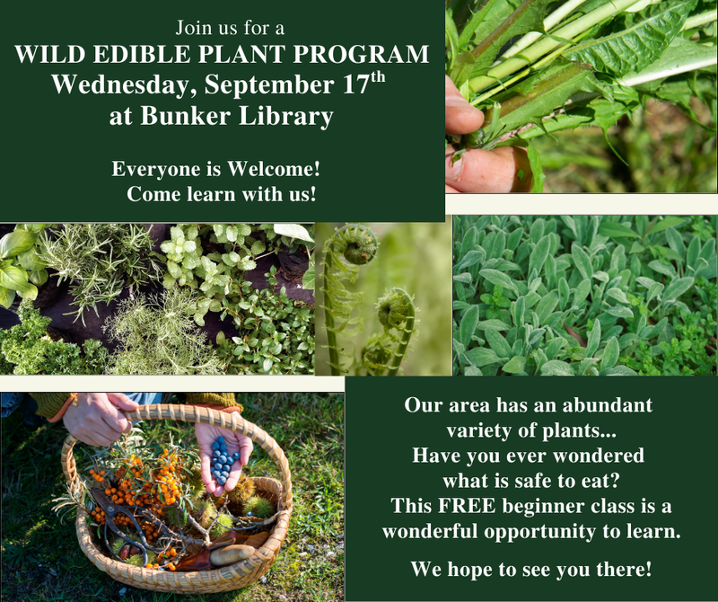 Wild Edible Plants Beginner Course Wild Edible Plants Beginner Course