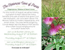 August Plant Program.png