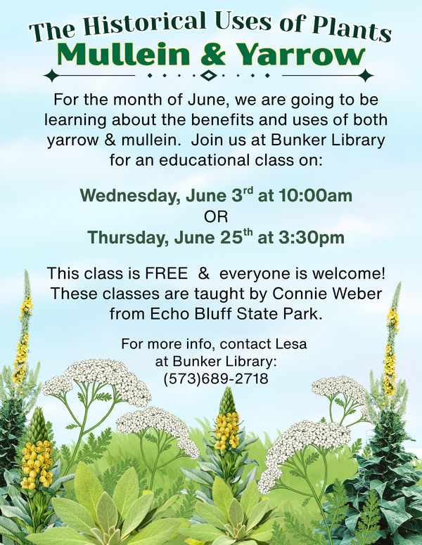 Join us at Bunker Library on June 3rd at 10am or on June 25th at 3:30pm to learn about the many benefits and uses of plants that grow in our backyards.  In this class we are learning about mullein and yarrow.